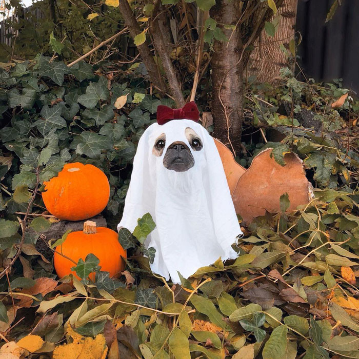 family of 3 halloween costumes