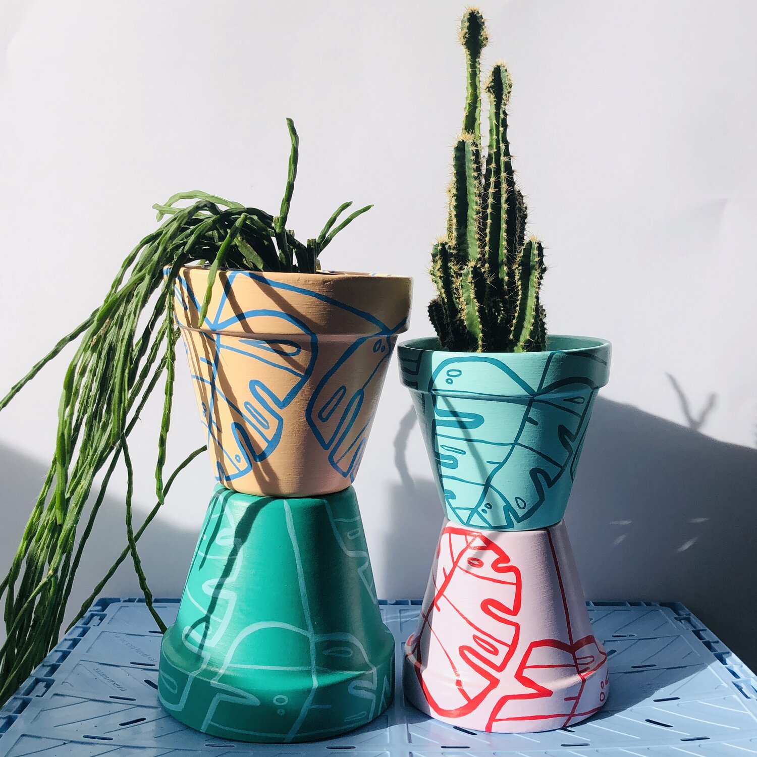 Bring the outdoors in with hand-decorated plant pots