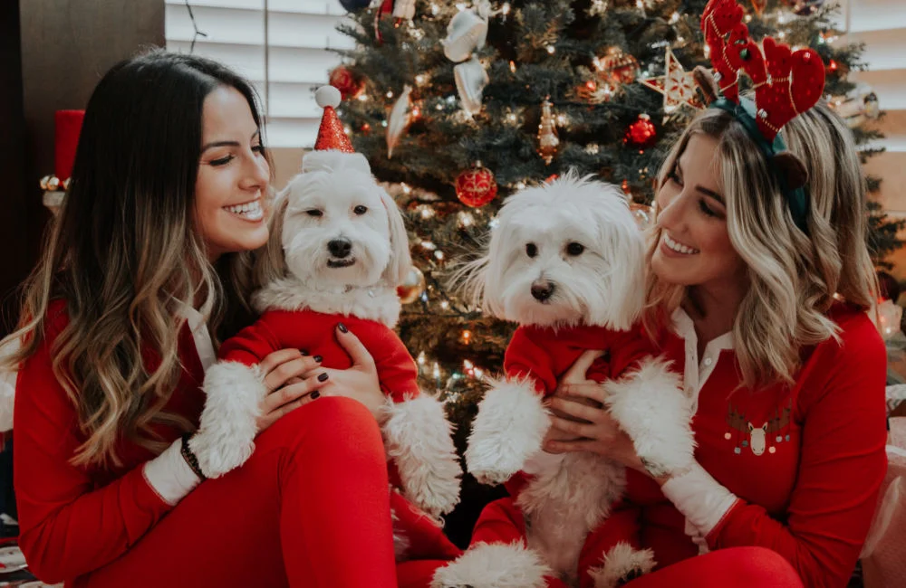 Sister By Heart: Heartwarming Christmas Card Messages Best Friend